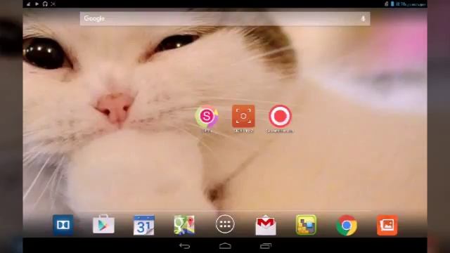 3 программа для записи видео с экрана смотреть онлайн