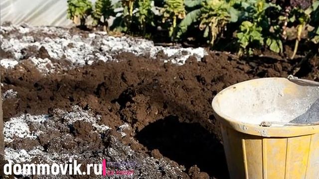 Когда огороду необходим мел