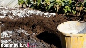 Когда огороду необходим мел