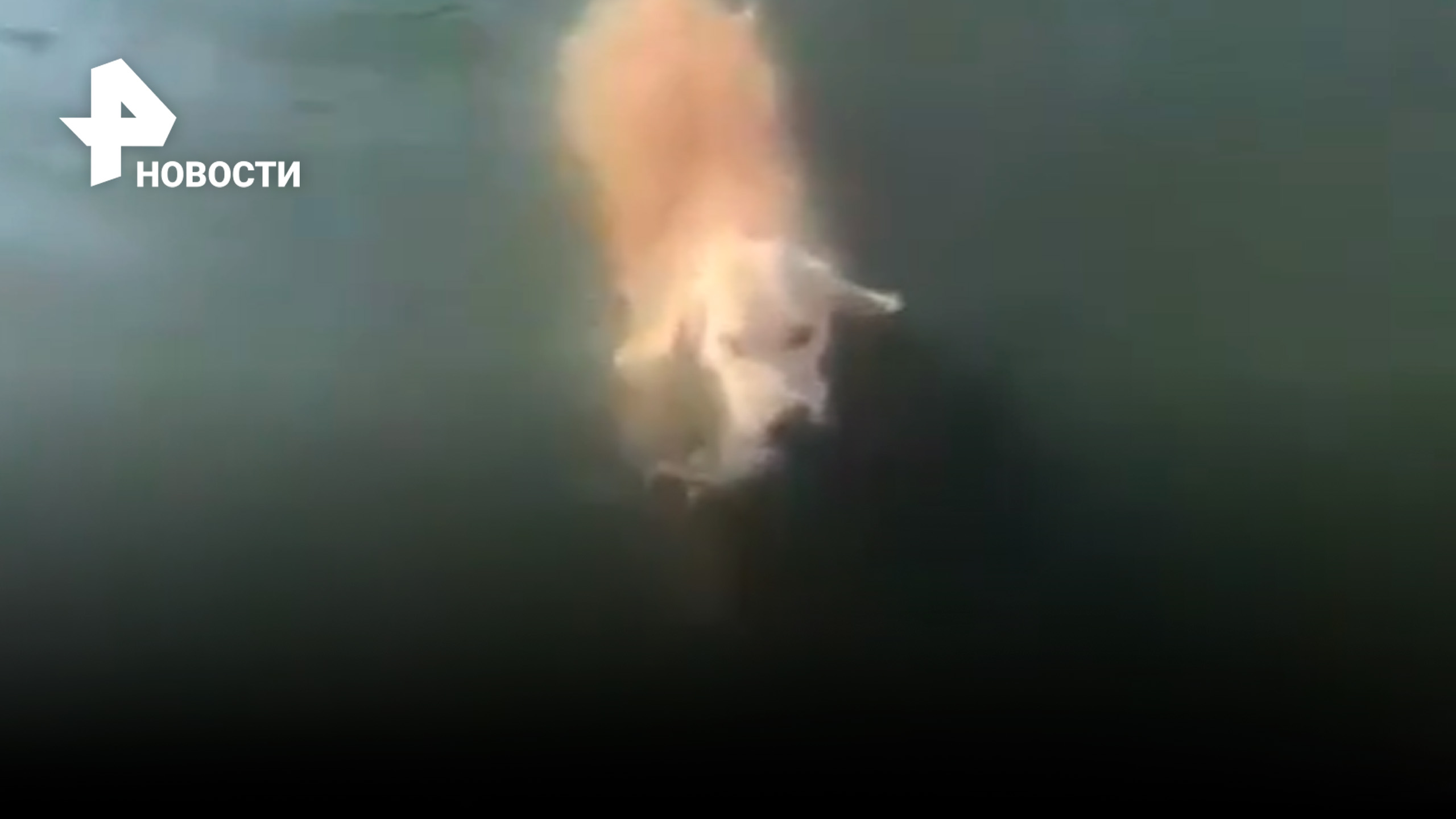 Утенок просто плавал в пруду, не ожидая, что его начнут спасать / РЕН Новости