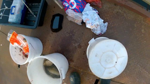 Смоленский рыбхоз - УТРО VS ВЕЧЕР. смотреть онлайн