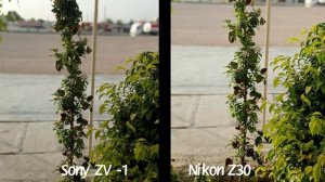 Nikon Z30 VS Sony ZV-1 Camera Comparison