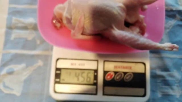 Первый забой перепела в 45 дней смотреть онлайн