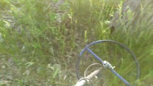 Тест металлоискателя Клон Pi avr, радует!