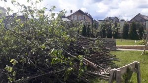 Переносим срубленную древесину к месту переработки в щепу