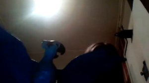 Рио игрушки обзор