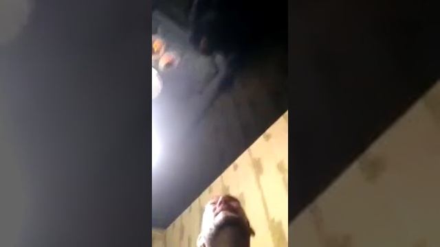 Натяжные потолки Краснодар смотреть онлайн