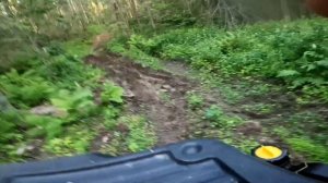 На квадроцикле по лесу/усьвинские столбы