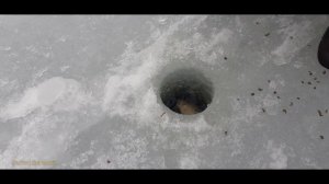 Рыбалка Белоярское водохранилище 2020/Зимняя рыбалка и просто отдых/Мартовский лещ/Рыбалка на Урале