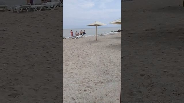 Седово 2023 ДЕЛЬМАР МОРЕ