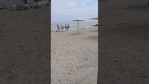 Седово 2023 ДЕЛЬМАР МОРЕ