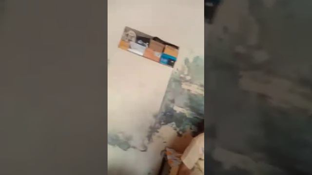 eh banda dublicate agent hai ede kol koi licencs ya office nhi haiga bach k rho eho jehe bande to 🙏 смотреть онлайн