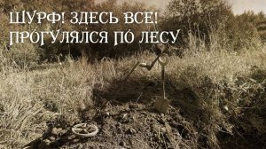 Шурф здесь! Завершаю. Убитые монеты в лесу / Поиск с XP ORX