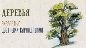 Пленэр онлайн. Рисуем наброски деревьев в смешанной технике.
