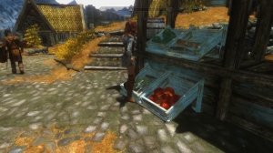 Установка модов на Skyrim LE - 5 часть (NPC Overhaul, SBF). Красивые женщины Скайрима.