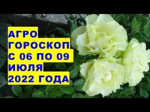 Агрогороскоп с 06 по 09 июля 2022 года