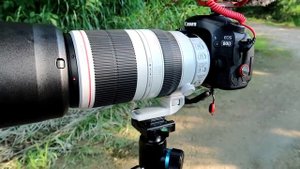 Canon EF 100-400mm f/4.5-5.6L IS II USM