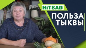 Польза и Вред Тыквы ✔️ Блюда из тыквы ✔️ Секреты выращивания Тыквы
