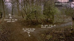 Contradiction Spot The Liar Gameplay PC HD 1080p