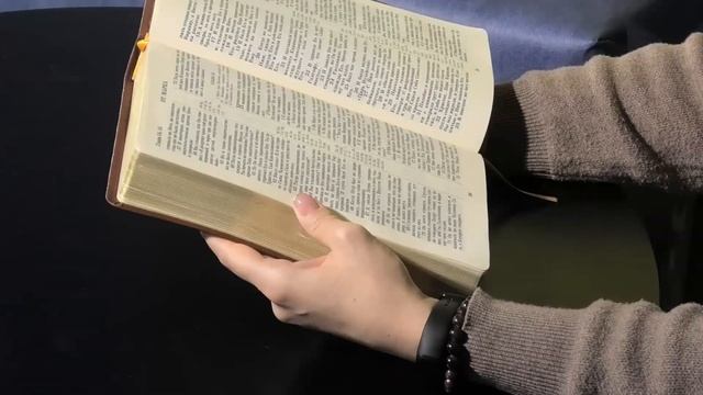 Библия за год | без музыки | день 73 | Евангелие от Марка 14:51-72| план чтения Библии 2022 смотреть онлайн