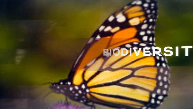 EYES ON ENVIRONMENT TV SHOW PROMO смотреть онлайн