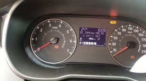 Сброс ТО Рено Дастер2 2022года.