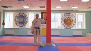 Онлайн-тренировка по тхэквондо. Ведущий Копытов Д.А.