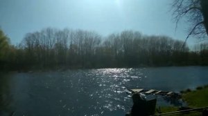 Огромные караси на ультралайт