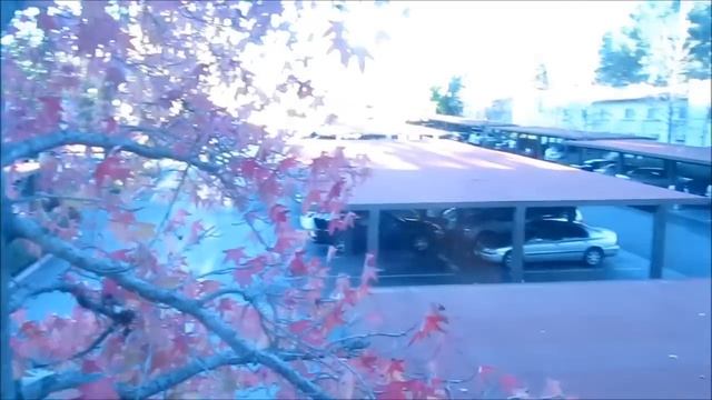 Video Test: Canon PowerShot SX150 IS смотреть онлайн