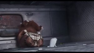 кролик Снежок Приколы подборка