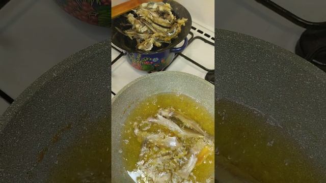 Путассу хороший источник белка и рыбьего жира. смотреть онлайн