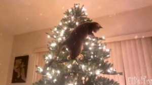 Песня «Новый год, ёлка, шарики, хлопушки» ?