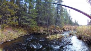 Осенняя рыбалка. В поисках рыбы. Часть-2_Autumn fishing. In search of fish. Part 2