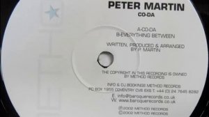 Peter Martin - Everything In Between (Original Mix)