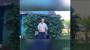 Жонглирование 3,4,5 мячами