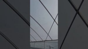 Теплицы для выращивания клубники на лотках