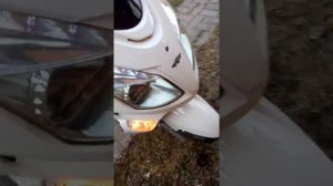 Нексус Роар1