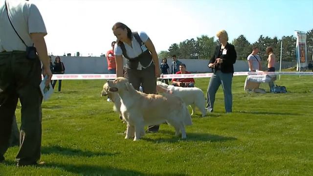 Golden 1 You Tube смотреть онлайн