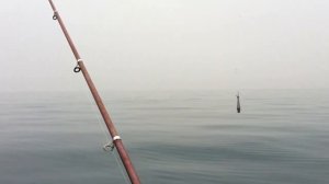 Рыбалка на Черном море. Рыбалка в Адлере.