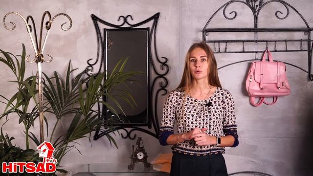 Вешалки в прихожую от интернет-магазина Хитсад