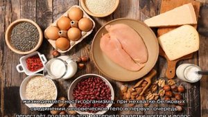 Симптомы недостатка белка в организме