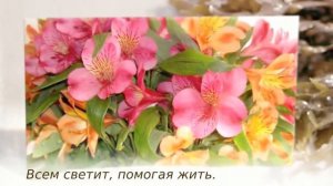 Поздравление к юбилею 55 лет