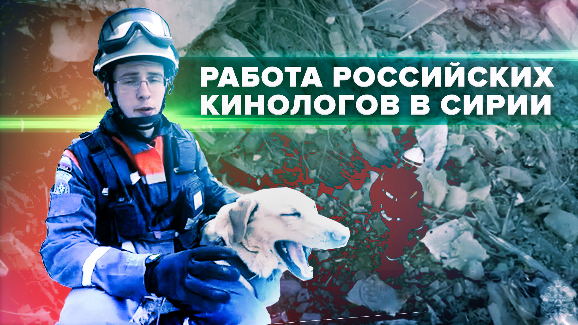 Кинологические службы МЧС ищут погибших и пострадавших в Сирии — видео