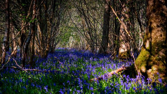 Stop overthinking and slow down overactive mind. Calm down and relax. Nature relaxing rain sound смотреть онлайн