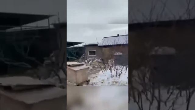 Добро – это движущая сила. смотреть онлайн