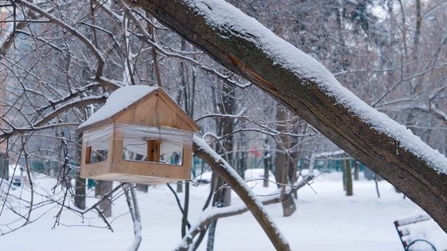 Лечебная Музыка для Снятия Стресса, Усталости, Депресии, Негатива смотреть онлайн