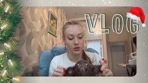 VLOG 13.01.2024 Эти мысли меня треважат уже несколько дней! Что же делать?