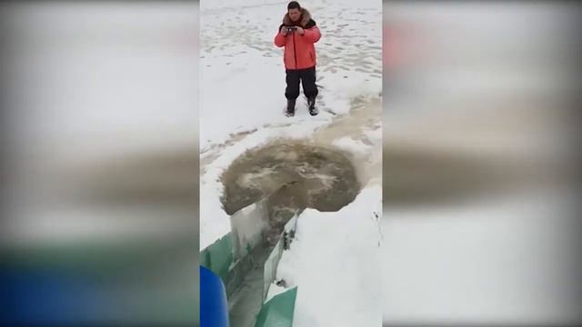 02.02.2018 Платник в д.Исканское - запуск Осетра и Форели смотреть онлайн