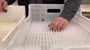 Выгонка тюльпанов к 8 Марта. Цветочный бизнес. Сравнение гидропонных ящиков.