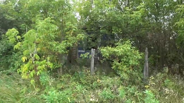 Деревня рядом с городом, а жизни нет. Заброшенное старинное село САМОДУРОВКА, Рязанская область